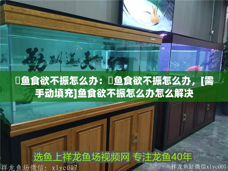 魟魚食欲不振怎么辦：魟魚食欲不振怎么辦，[需手動填充]魚食欲不振怎么辦怎么解決