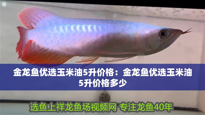金龍魚優(yōu)選玉米油5升價格：金龍魚優(yōu)選玉米油5升價格多少