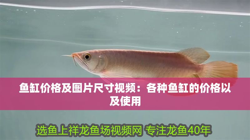 魚缸價格及圖片尺寸視頻：各種魚缸的價格以及使用