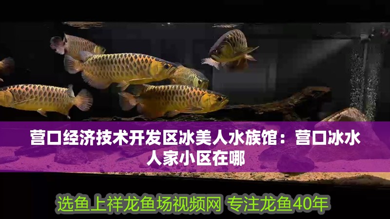 營口經(jīng)濟技術(shù)開發(fā)區(qū)冰美人水族館：營口冰水人家小區(qū)在哪