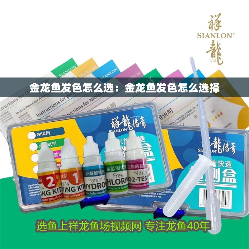 金龍魚發(fā)色怎么選：金龍魚發(fā)色怎么選擇