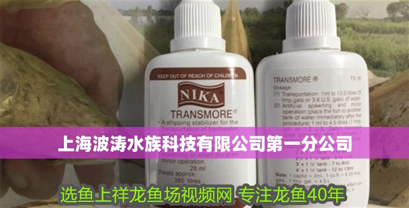 上海波濤水族科技有限公司第一分公司