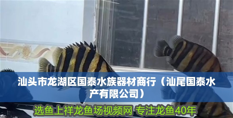 汕頭市龍湖區國泰水族器材商行（汕尾國泰水產有限公司） 汕頭市龍湖區國泰水族器材商行（汕尾國泰水產有限公司） 全國水族館企業名錄 第2張