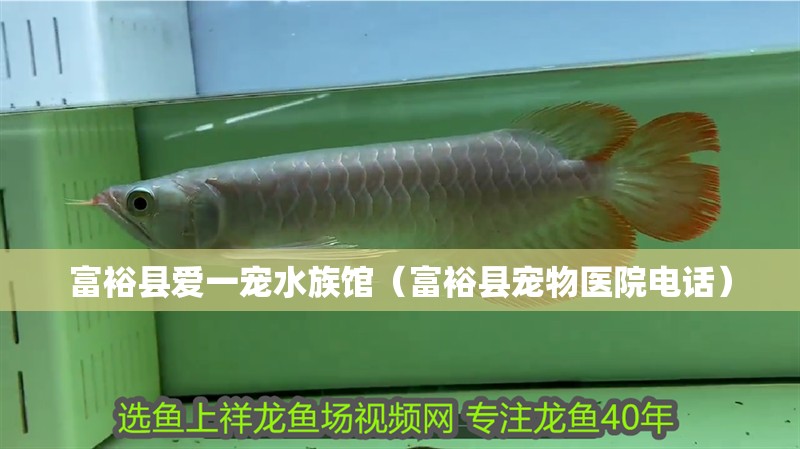 富裕縣愛一寵水族館（富裕縣寵物醫院電話）