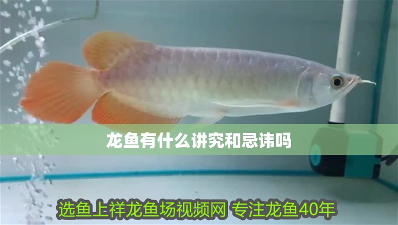 龍魚有什么講究和忌諱嗎 龍魚百科 第2張 龍魚有什么講究和忌諱嗎 龍魚有什么講究和忌諱嗎 龍魚百科 第2張