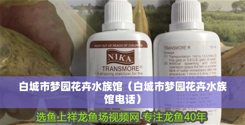 白城市夢園花卉水族館（白城市夢園花卉水族館電話）