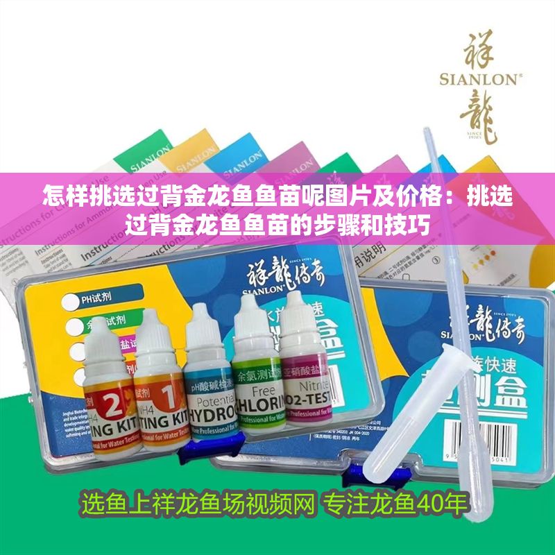 怎樣挑選過背金龍魚魚苗呢圖片及價格：挑選過背金龍魚魚苗的步驟和技巧 怎樣挑選過背金龍魚魚苗呢圖片及價格：挑選過背金龍魚魚苗的步驟和技巧 金龍魚百科 第1張