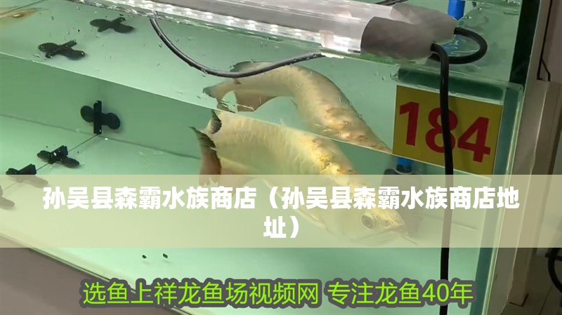 孫吳縣森霸水族商店（孫吳縣森霸水族商店地址）