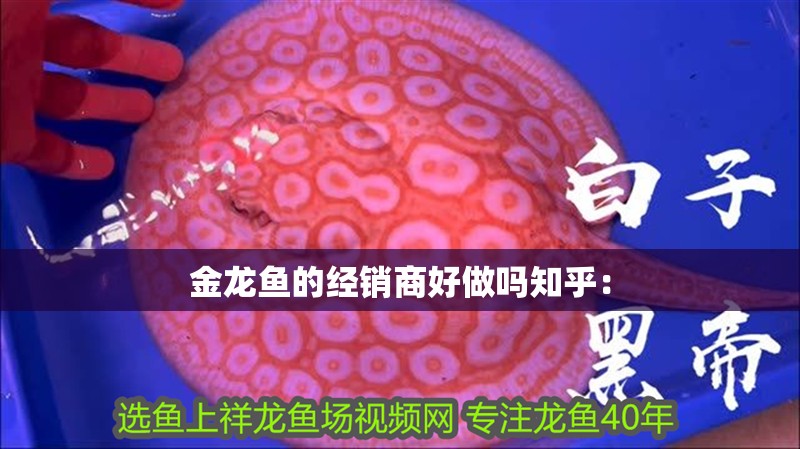 金龍魚的經銷商好做嗎知乎： 金龍魚的經銷商好做嗎知乎： 水族問答