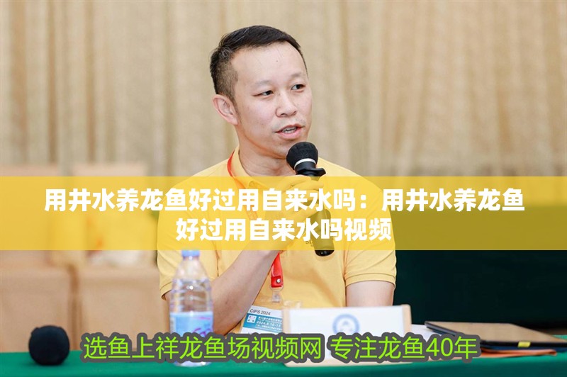 用井水養龍魚好過用自來水嗎：用井水養龍魚好過用自來水嗎視頻