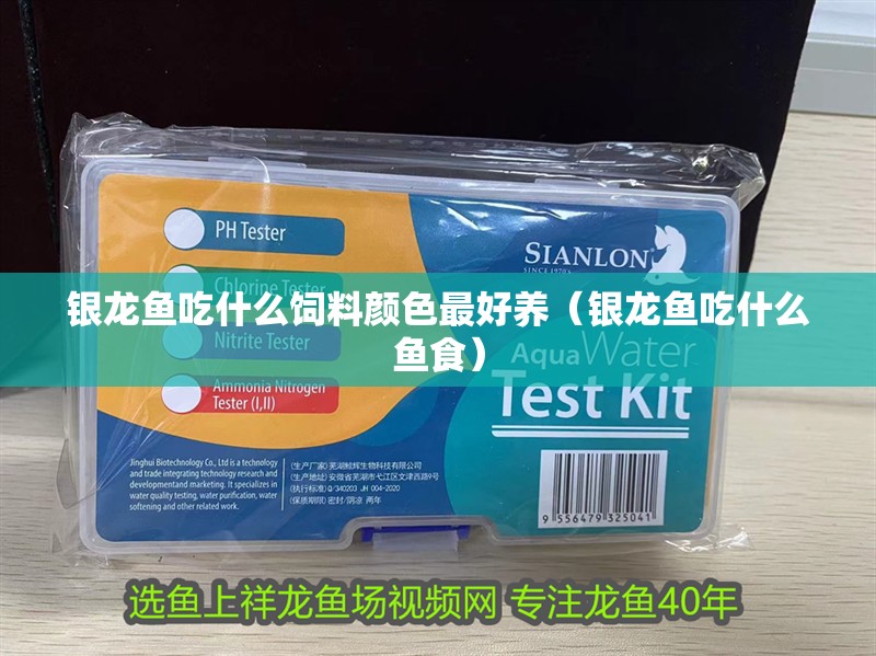 紅龍魚用黃燈烤有用嗎 銀龍魚吃什么飼料顏色最好養(銀龍魚吃什么魚食) 銀龍魚百科 銀龍魚吃什么飼料顏色最好養(銀龍魚吃什么魚食) 銀龍魚吃什么飼料顏色最好養(銀龍魚吃什么魚食) 銀龍魚百科