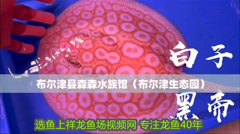 布爾津縣森森水族館（布爾津生態(tài)園）