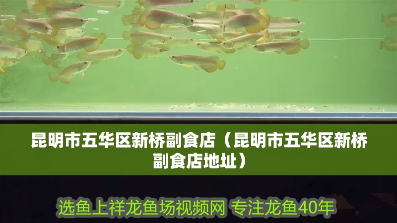 昆明市五華區新橋副食店（昆明市五華區新橋副食店地址） 昆明市五華區新橋副食店（昆明市五華區新橋副食店地址） 全國水族館企業名錄 第2張