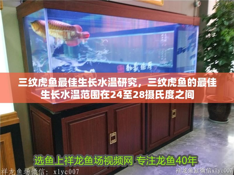 三紋虎魚最佳生長水溫研究，三紋虎魚的最佳生長水溫范圍在24至28攝氏度之間