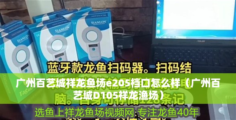 廣州百藝城祥龍魚場e205檔口怎么樣（廣州百藝城D105祥龍漁場）