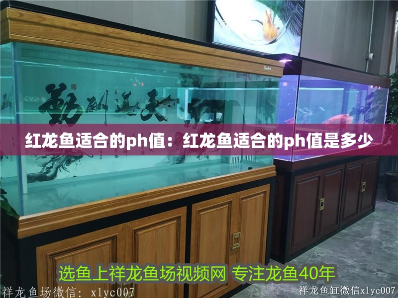 紅龍魚適合的ph值：紅龍魚適合的ph值是多少