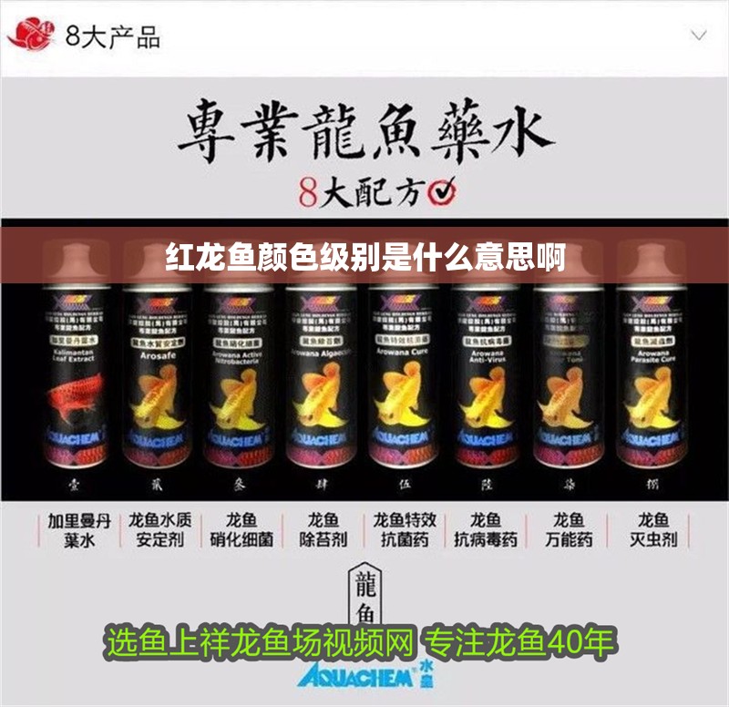 紅龍魚顏色級別是什么意思啊