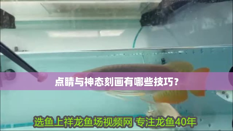 點睛與神態刻畫有哪些技巧？