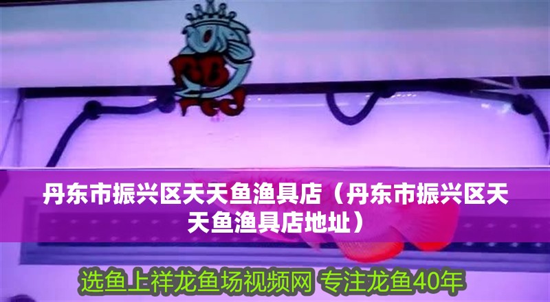 丹東市振興區(qū)天天魚漁具店（丹東市振興區(qū)天天魚漁具店地址）