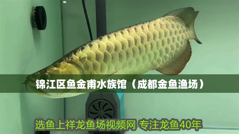 錦江區魚金甫水族館（成都金魚漁場）