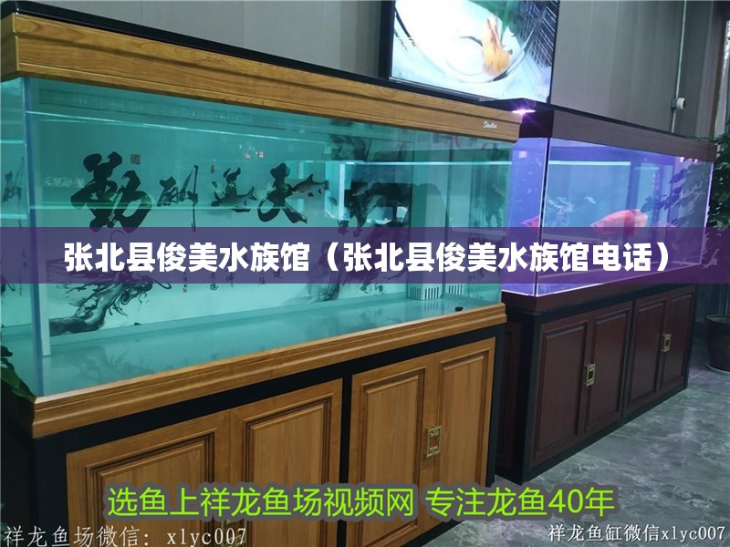 張北縣俊美水族館（張北縣俊美水族館電話） 張北縣俊美水族館（張北縣俊美水族館電話） 全國水族館企業(yè)名錄 第3張