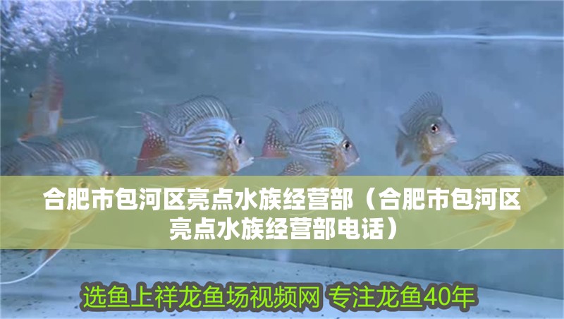 合肥市包河區亮點水族經營部（合肥市包河區亮點水族經營部電話）