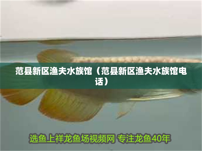 范縣新區(qū)漁夫水族館（范縣新區(qū)漁夫水族館電話） 范縣新區(qū)漁夫水族館（范縣新區(qū)漁夫水族館電話） 全國水族館企業(yè)名錄 第2張