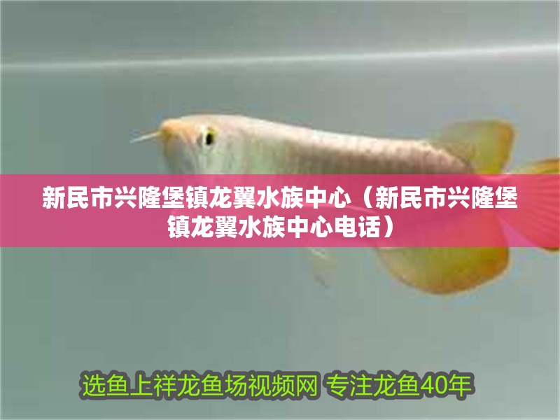 新民市興隆堡鎮龍翼水族中心（新民市興隆堡鎮龍翼水族中心電話）