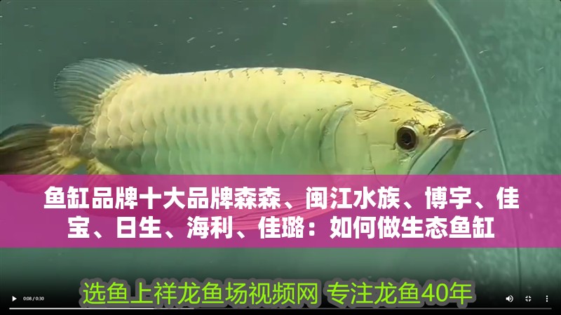 魚缸品牌十大品牌森森、閩江水族、博宇、佳寶、日生、海利、佳璐：如何做生態魚缸