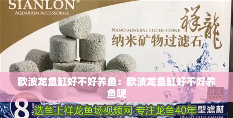 歐波龍魚缸好不好養(yǎng)魚：歐波龍魚缸好不好養(yǎng)魚呢