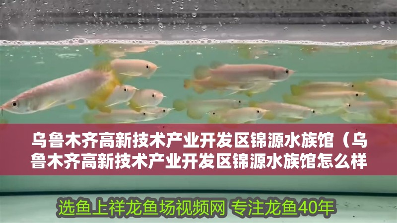 烏魯木齊高新技術產業開發區錦源水族館（烏魯木齊高新技術產業開發區錦源水族館怎么樣）