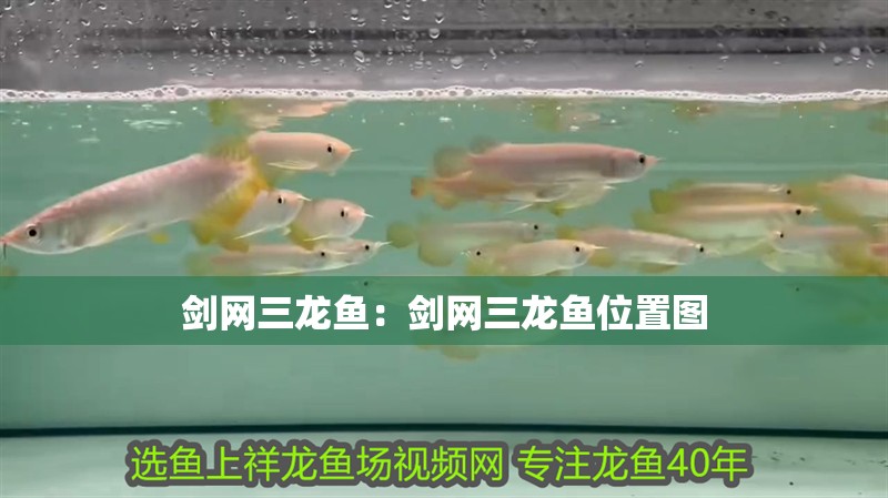 劍網三龍魚：劍網三龍魚位置圖