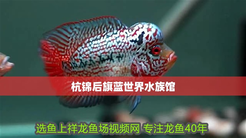 杭錦后旗藍世界水族館