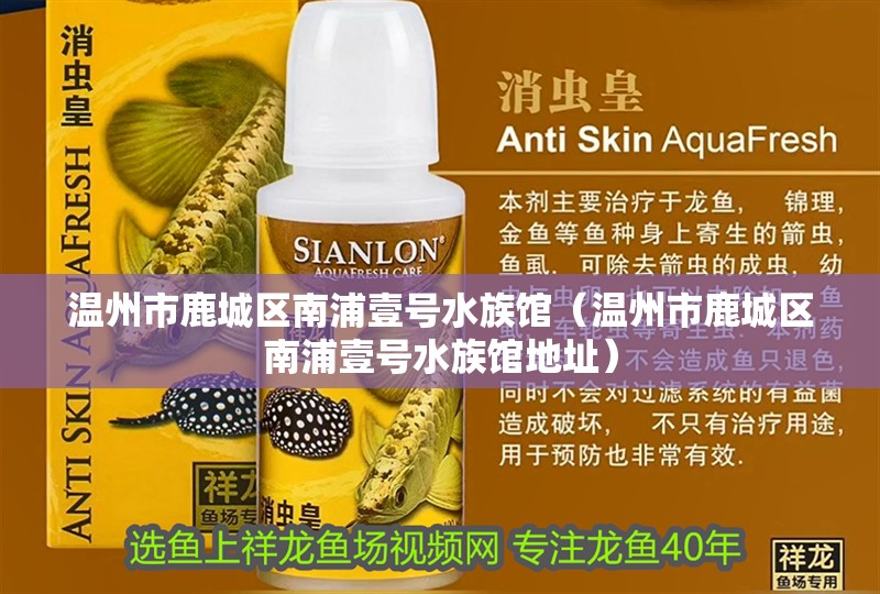 溫州市鹿城區(qū)南浦壹號水族館（溫州市鹿城區(qū)南浦壹號水族館地址）