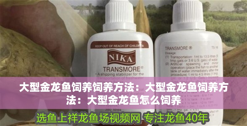 大型金龍魚飼養(yǎng)飼養(yǎng)方法：大型金龍魚飼養(yǎng)方法：大型金龍魚怎么飼養(yǎng)