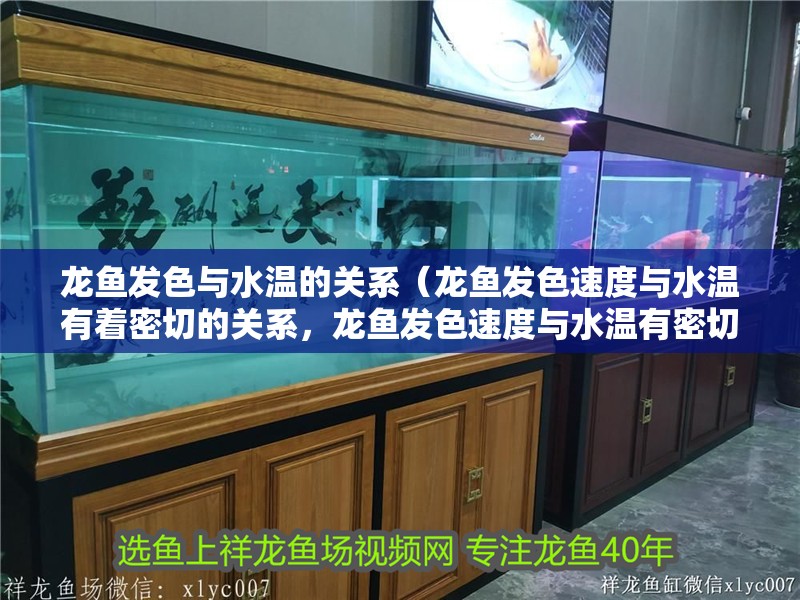 龍魚(yú)發(fā)色與水溫的關(guān)系（龍魚(yú)發(fā)色速度與水溫有著密切的關(guān)系，龍魚(yú)發(fā)色速度與水溫有密切關(guān)系）