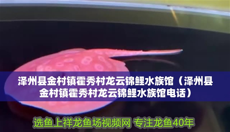 澤州縣金村鎮霍秀村龍云錦鯉水族館（澤州縣金村鎮霍秀村龍云錦鯉水族館電話）