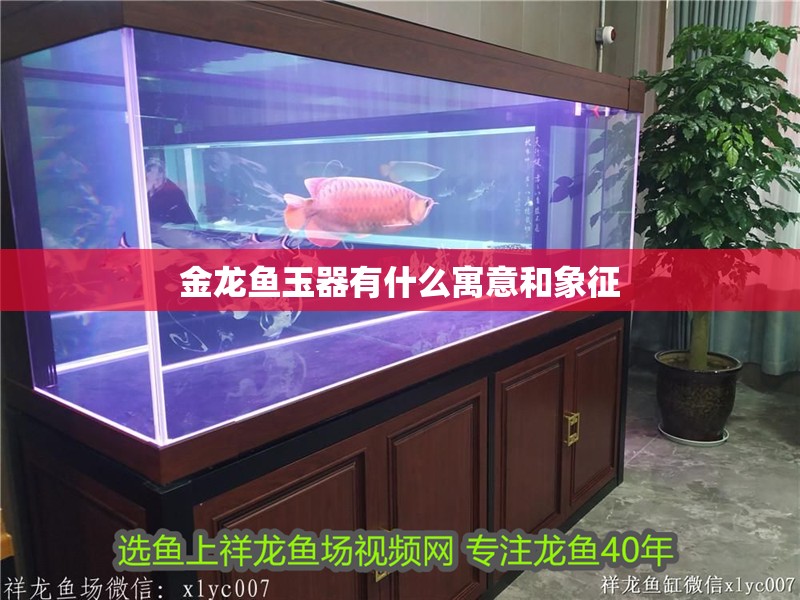 金龍魚玉器有什么寓意和象征