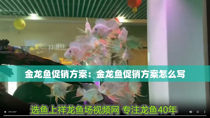 金龍魚促銷方案:金龍魚促銷方案怎么寫 水族問答 金龍魚促銷方案:金龍魚促銷方案怎么寫 金龍魚促銷方案:金龍魚促銷方案怎么寫 水族問答