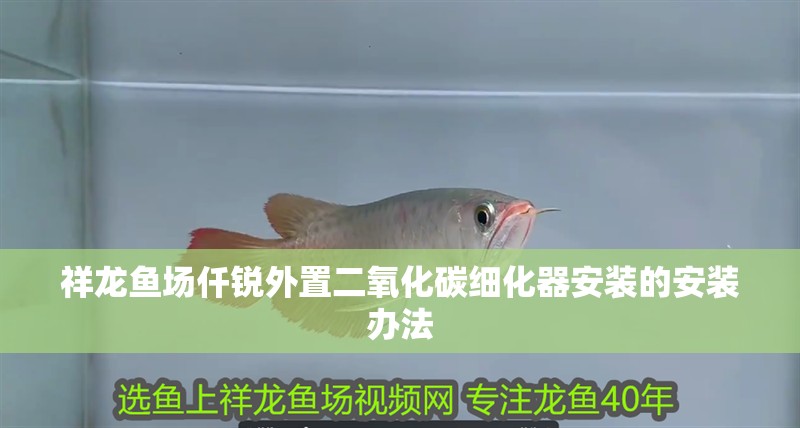 祥龍魚場仟銳外置二氧化碳細化器安裝的安裝辦法