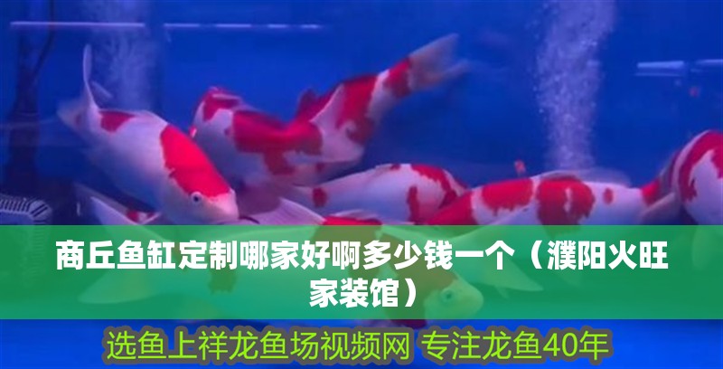 商丘魚缸定制哪家好啊多少錢一個（濮陽火旺家裝館） 商丘魚缸定制哪家好啊多少錢一個（濮陽火旺家裝館） 觀賞魚百科