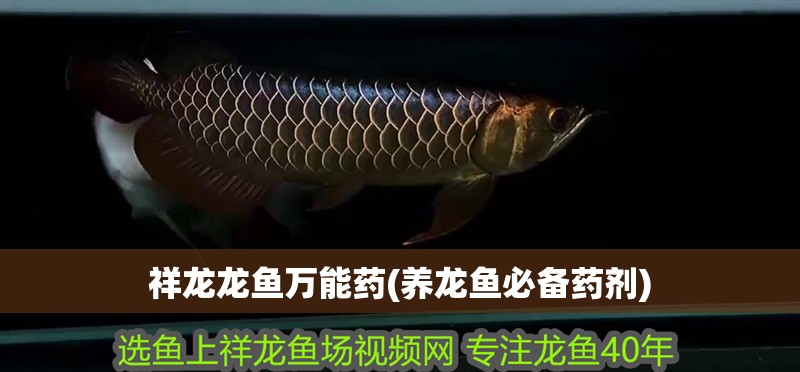 祥龍龍魚萬能藥(養(yǎng)龍魚必備藥劑)