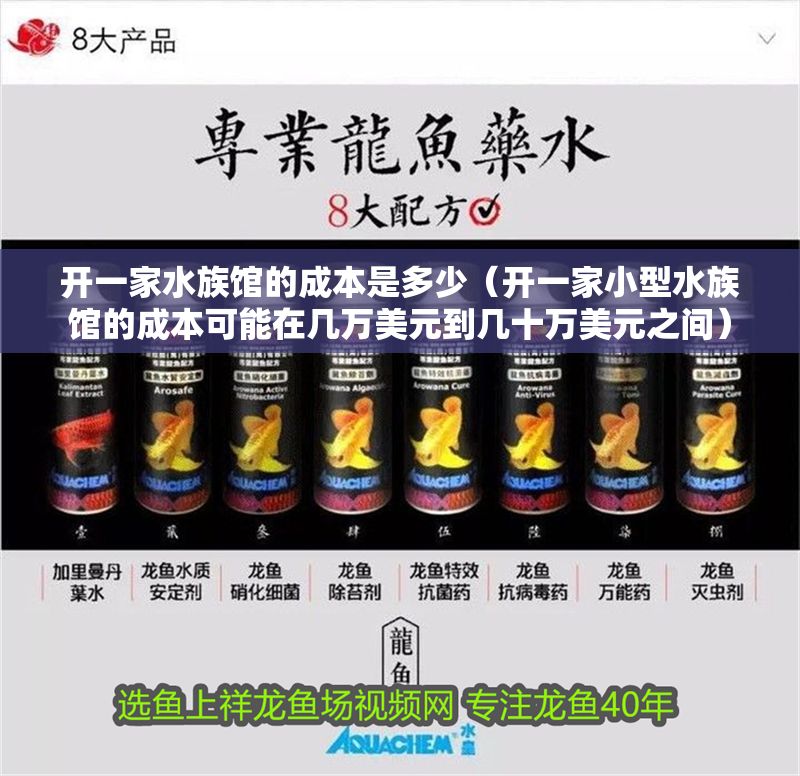 開一家水族館的成本是多少（開一家小型水族館的成本可能在幾萬美元到幾十萬美元之間）