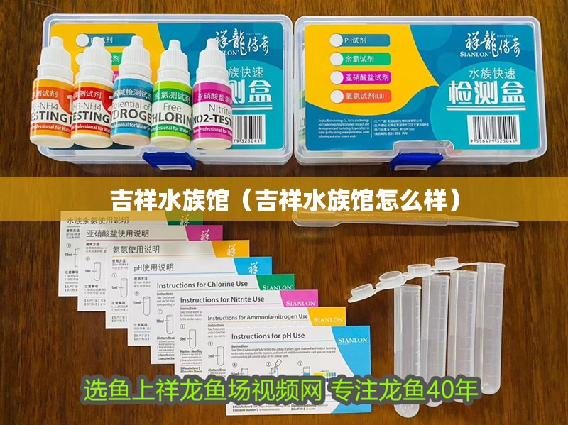 吉祥水族館(吉祥水族館怎么樣) 全國水族館企業名錄 第3張 吉祥水族館(吉祥水族館怎么樣) 吉祥水族館(吉祥水族館怎么樣) 全國水族館企業名錄 第3張