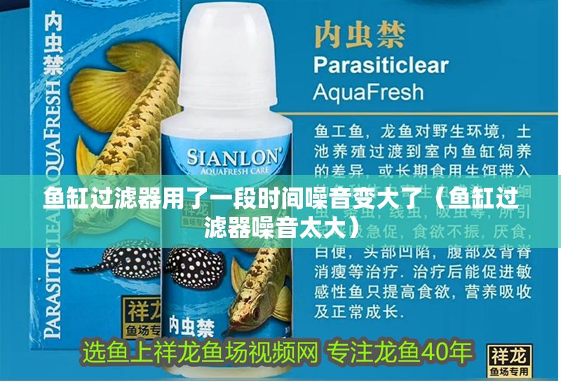 魚缸過濾器用了一段時間噪音變大了（魚缸過濾器噪音太大） 魚缸過濾器用了一段時間噪音變大了（魚缸過濾器噪音太大） 紅龍魚百科 第1張