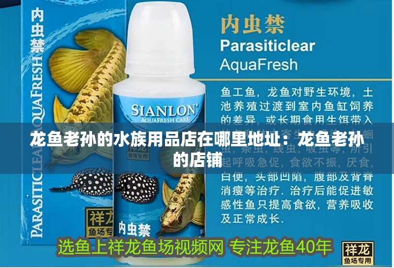 龍魚(yú)老孫的水族用品店在哪里地址：龍魚(yú)老孫的店鋪 龍魚(yú)老孫的水族用品店在哪里地址：龍魚(yú)老孫的店鋪 水族問(wèn)答