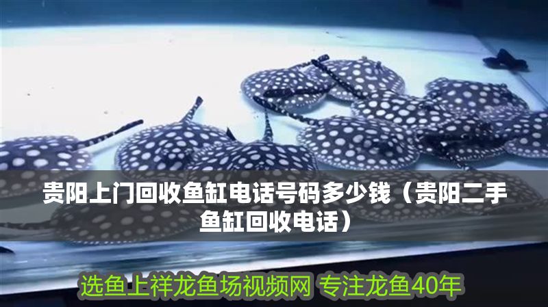 貴陽上門回收魚缸電話號(hào)碼多少錢（貴陽二手魚缸回收電話）