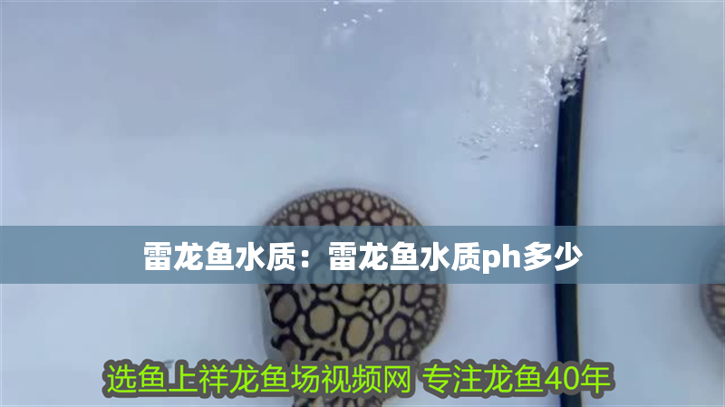 雷龍魚水質：雷龍魚水質ph多少