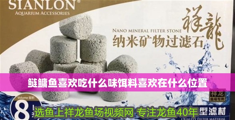 魚缸用增氧泵價格是多少:魚缸增氧機-xtrac增氧機-xtrac增氧機 鰱鳙魚喜歡吃什么味餌料喜歡在什么位置 觀賞魚百科 鰱鳙魚喜歡吃什么味餌料喜歡在什么位置 鰱鳙魚喜歡吃什么味餌料喜歡在什么位置 觀賞魚百科