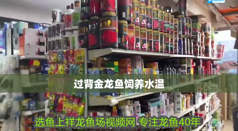 過背金龍魚飼養水溫